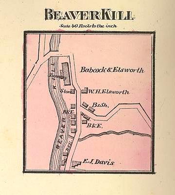 beaverkill 1875.jpg