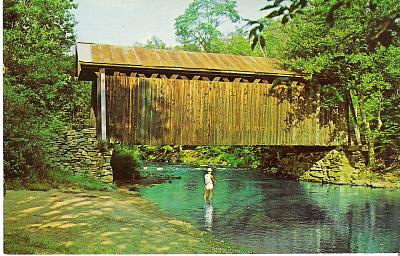 coveredbridge-willowemoc.jpg