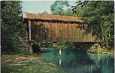 lm-covered-bridge-willowemoc.jpg