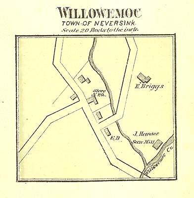 willowemoc 1875.jpg