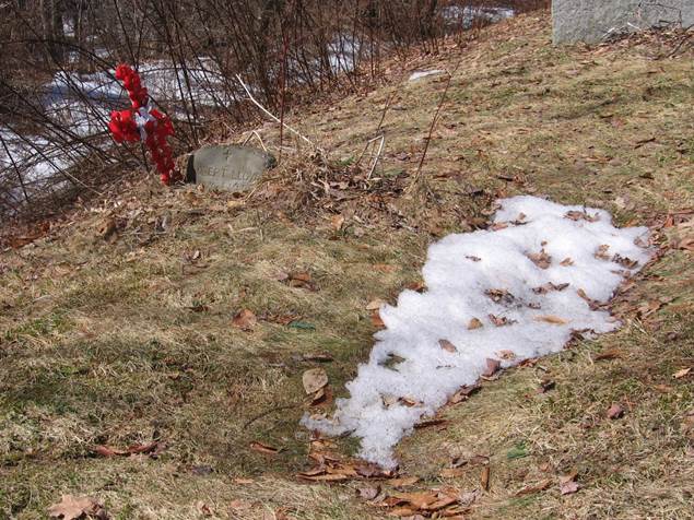 A red fire hydrant in a grassy area

Description automatically generated with low confidence