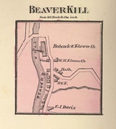 map-Beaverkill-1875.jpg