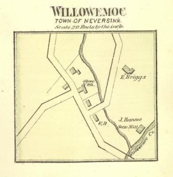 map-Willowemoc-1875.jpg