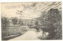 LMLittleBeaverKill1907.jpg