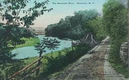 neversink1905.jpg